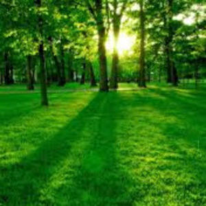 Meet your Posher, Redding